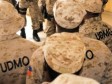 Haiti - Security : 2 UDMO agents fall under the bullets