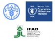Haiti - Humanitarian : 3 UN agencies unite to eradicate hunger