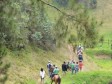 Haiti - FLASH : Spoliation operations in an ecological reserve in Kenscoff