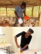 Haiti - Economy : Positive results for the winners of the «Renesans» contest