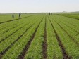 Haiti - Politic : Launch of a national survey of agricultural production