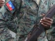 Haiti - Army : 250 aspiring soldiers of the FAd'H in training