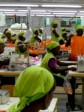 Haïti - USA : L’avenir de l'industrie de l’assemblage textile en Haïti en danger
