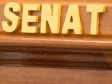 Haiti - FLASH : The Senate could be abolished in the new Constitution