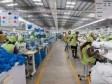 Haïti - Économie : Le secteur de l’habillement s’associe avec l’IFC pour stimuler la croissance de la filière