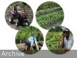 Haïti - Agriculture : Le manque d’accès aux intrants risque de compromettre les cultures de printemps