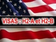 Haiti - FLASH : H-2A and H-2B visas available for Haiti