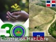 Haïti - Environnement : Relever le défi de la déforestation au pays