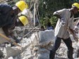Haïti - Reconstruction : 2 ans après, 50% des débris ont été enlevés