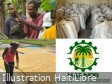 Haiti : Spring 2026 agricultural campaign, the Ministry strengthens support for producers