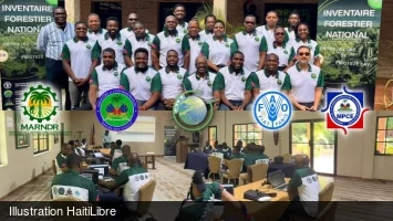 Haïti - Environnement : Renforcement des capacités du Système National de Surveillance des forêts