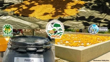 Haïti - Agriculture : Don d’équipements post-récolte pour réduire les pertes et améliorer les revenus
