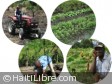 Haiti - Agriculture : 864 million gourdes to revitalize the agricultural sector