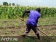 Haiti - Agriculture : 94 young graduates in agricultural techniques