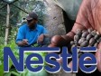 Haiti - Agriculture : Improvement of income and opportunities in the coffee sector