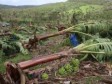 Haiti - Agriculture : $242 million damage...