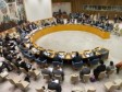 Haïti - Politique : Réactions des membres du Conseil de Sécurité sur les élections en Haïti